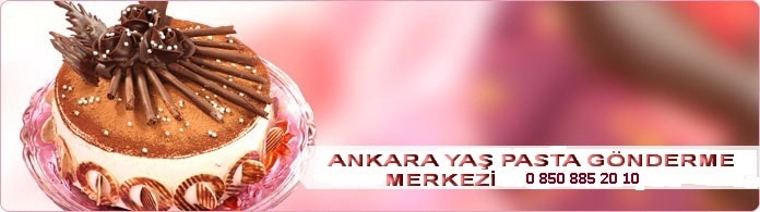 Ankara Pastane Pasta siparii